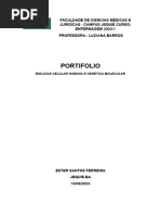 Portfólio Ester