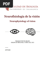 Neurofisiología de la visión