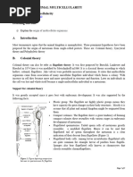 SZL 111 _ Module 04 Lecture Notes _ Section 4.3_Origin of multicellularity