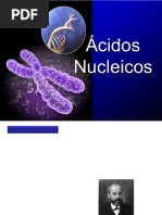 ACIDOS NUCLEICOS 