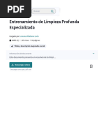 Entrenamiento de Limpieza Profunda Especializada | PDF | Piel | Epidermis