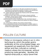 Anther and Pollen Culture