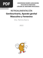 Retroalimentación Genitourinario, AP Genital Masculino y Femenino