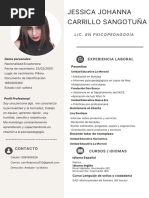 Curriculum Vitae Mujer Moderno y Profesional Con Iconos Gris y Blanco (3)