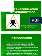 Biotransformacion de Xenobioticos