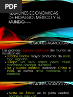 3REGIONES ECONÓMICAS DE HIDALGO, MÉXICO Y EL.pptx (1)