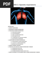 T3_Aparato Respiratorio