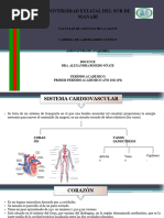 SISTEMA CARDIOVASCULAR