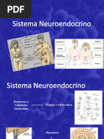 Clase Sistema Neuro End Ocr i No