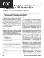 CKD Eval and Risk Assess AKDH Nov 24