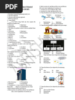 mcq 2