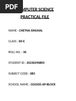 Practical File