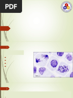 Biology Lec. 9