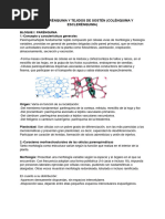 Histología. T4