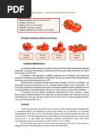 FICHA TECNICA  TOMATE EM MODO DE PRODUCAO BIOLOGICO