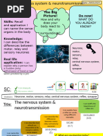 Nervous system, neurones and reflexes - 2022-23 Teacher copy (1) - Copy