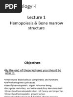 L 1 Hematopoiesis and Bone Marrow Structure 1 (HG)