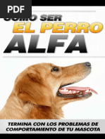 Como Entrenar Tu Mascota_ Como Ser El Perro Alfa y Tmiento de Tu Mascota (Spanish Edition) - Marco Andre