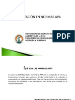 Normas Apa