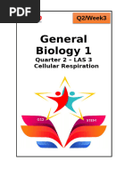 LM W3 Cellular Respiration