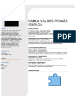 CV Karla Valdes Peraza