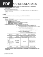 Aparato circulatorio
