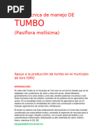 MANUAL PRODUCCION DE TUMBO