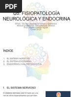 u5. Fisiopatología Neurológica y Endocrina