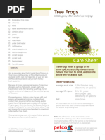 caresheet-treefrogs-2016