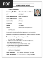 Cv Rocio Huanca Cahuina