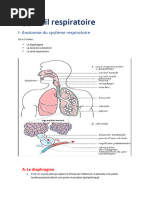 Anatomie Respiratoire