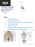 UT 5 ESQUELETO AXIAL 