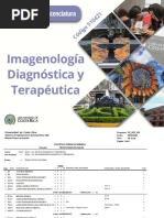 Imagenologia_Malla-curricular