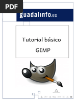 Gimp