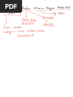 Biomolecules — Theory Class