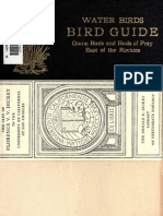 Bird Guide Water Birds, Game Birds and Birds of Prey (1916, c1910)