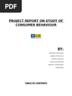 Project Report On Study of Consumer Behaviour