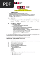 ?(AC-S06) Semana 06 - Tarea Académica 2 - psicologia del desarrollo 2 - ENTREVISTA A UN ADULTO EMERGENTE