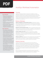 DS_EN_AUT Workload Automation