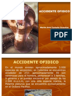 Accidente Ofidico