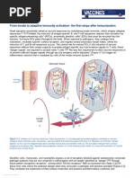 13.02_ From Innate to Adaptive Immunity Activation_ the First Steps After Immunization