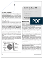 Electricity: Electricity at A Glance, 2009