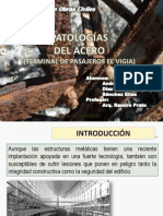 Patologia Del Acero