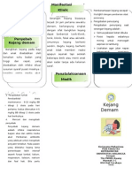 Leaflet Kejang Demam