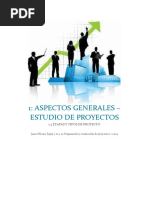 1.3  Etapas  y tipos de proyecto