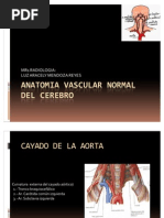 Anatomia Vascular Normal Del Cerebro Dra. Aracely