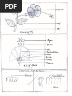 Bio Lab Diagram 1