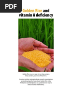 Golden Rice Project Brief 2012