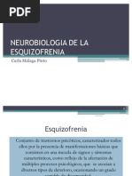 Neurobiologia de La Esquizofrenia