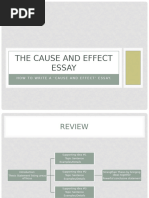 The Cause and Effect Essay